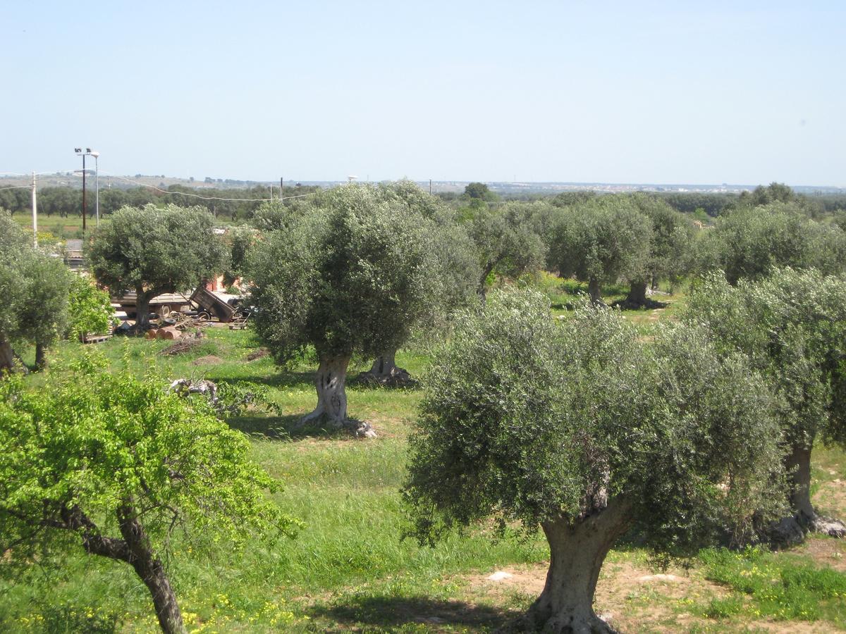 Il Sorriso B&B Pulsano Bagian luar foto